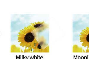 65d6e64825422 e1748510858353